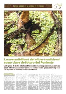 Suplemento Campaa Aceite 2021 Page 0001 600x857